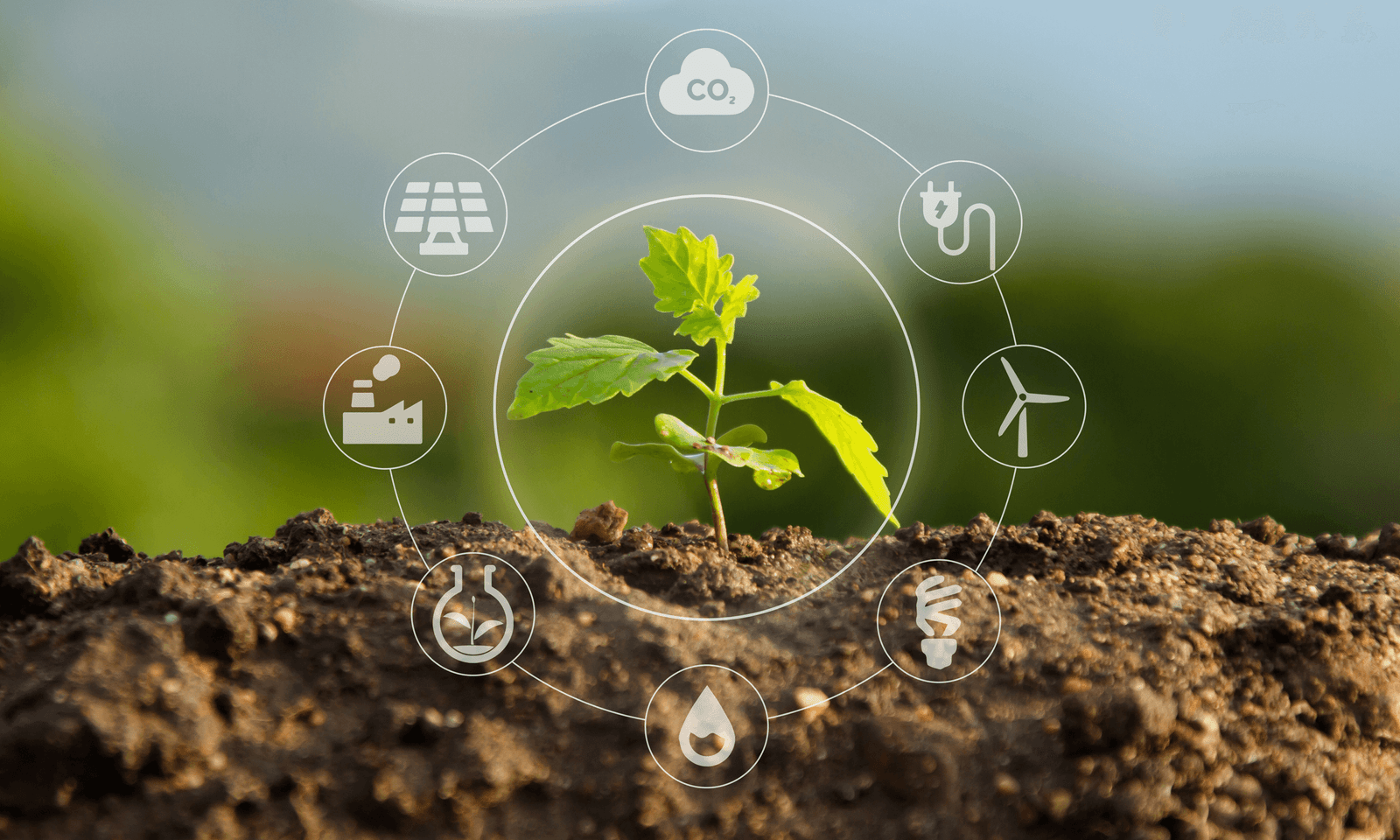 Eco Home Solution